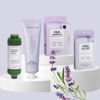 Vitamin C Shower Filter - Lavender Land